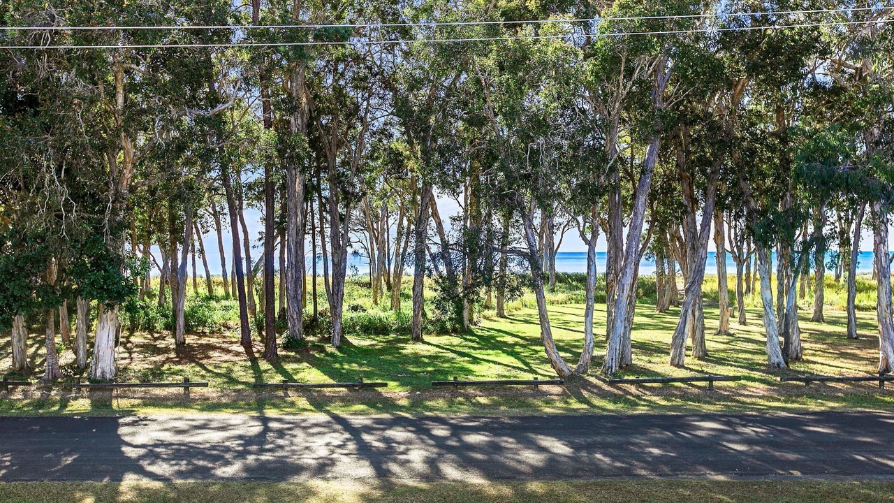 Photo of Others in Traviston