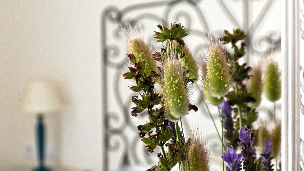 Photo of Bedroom in Arenys de Mar