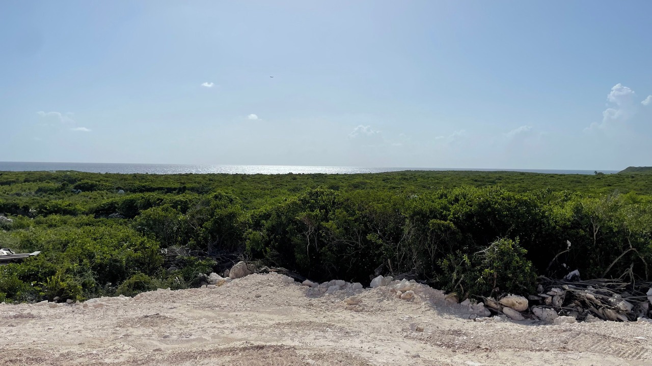 Photo of Others in Black Point