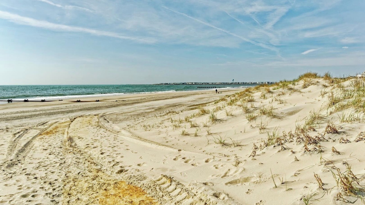 Photo of Others in Sea Isle City