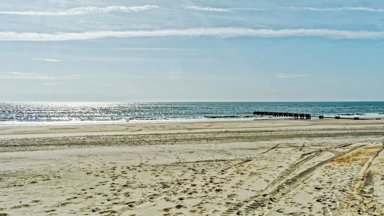 Photo of Others in Sea Isle City