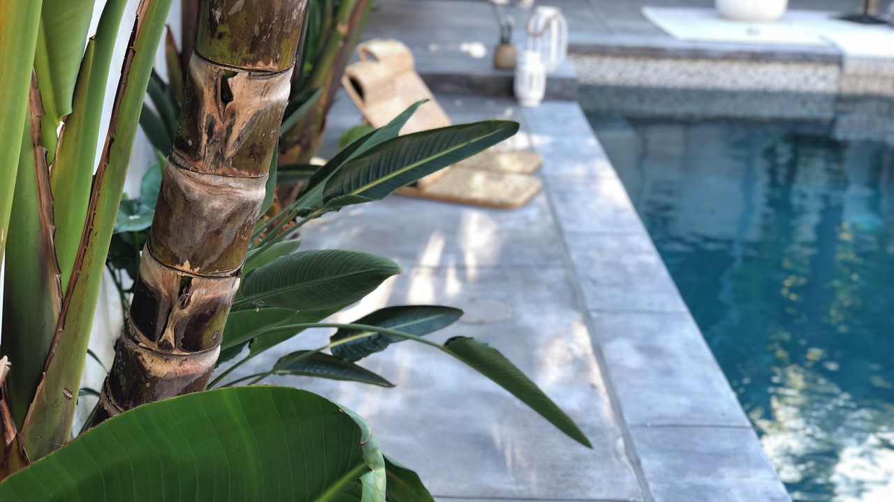 Photo of Outdoor in Woodland Hills