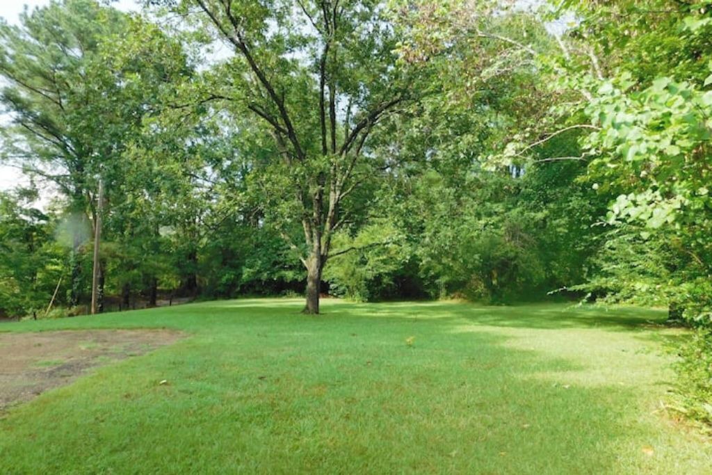 Photo of Outdoor in Tie Plant