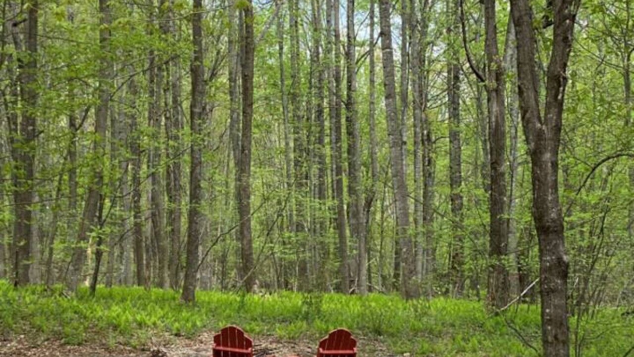 Photo of Outdoor in Meadows Of Dan