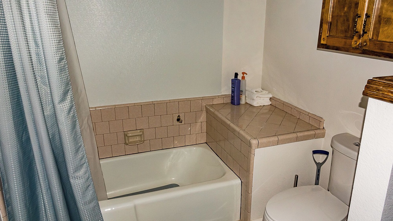 Photo of Bathroom in Badger