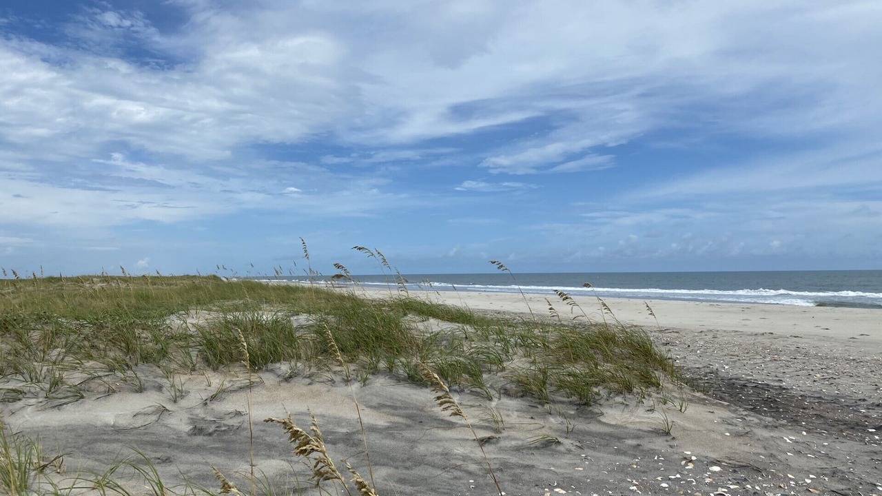 Photo of Others in Atlantic