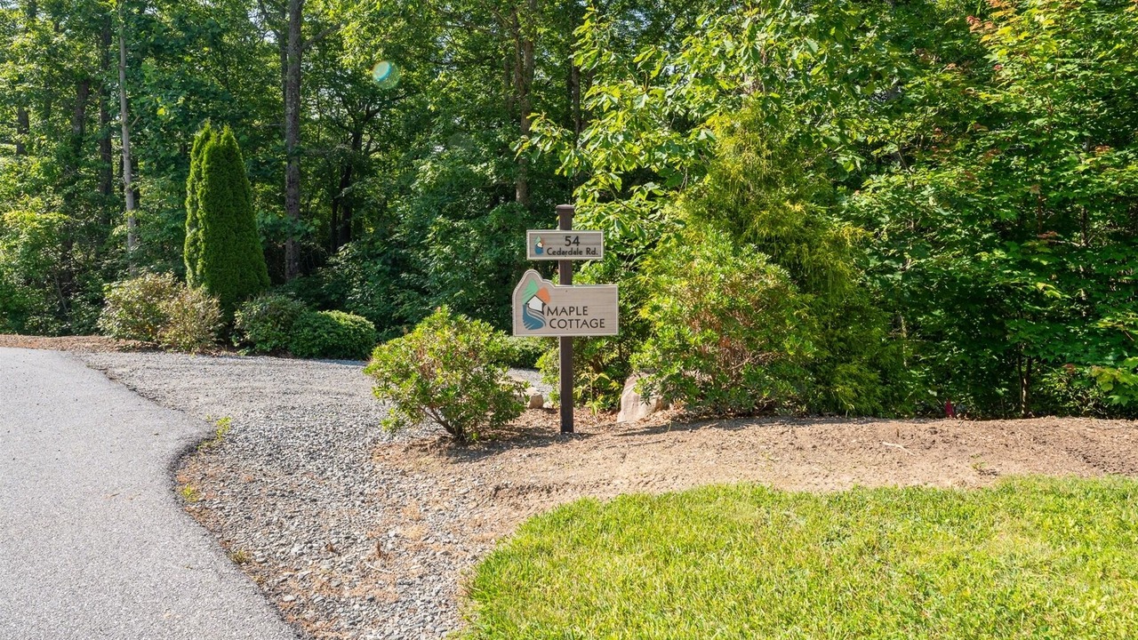 Photo of Outdoor in Pisgah Forest