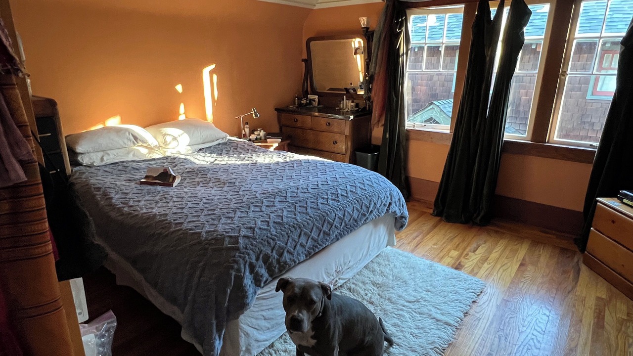 Photo of Bedroom in Upper Telegraph