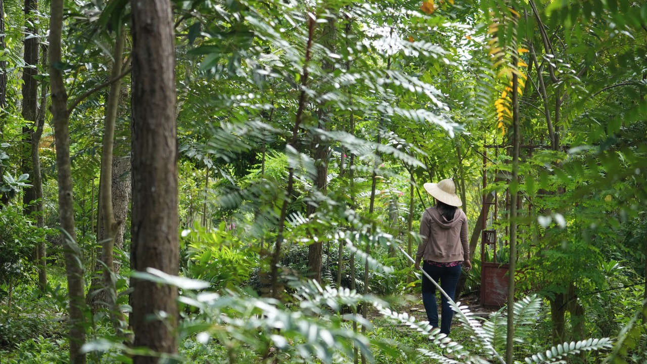 Photo of Outdoor in Chau Duc