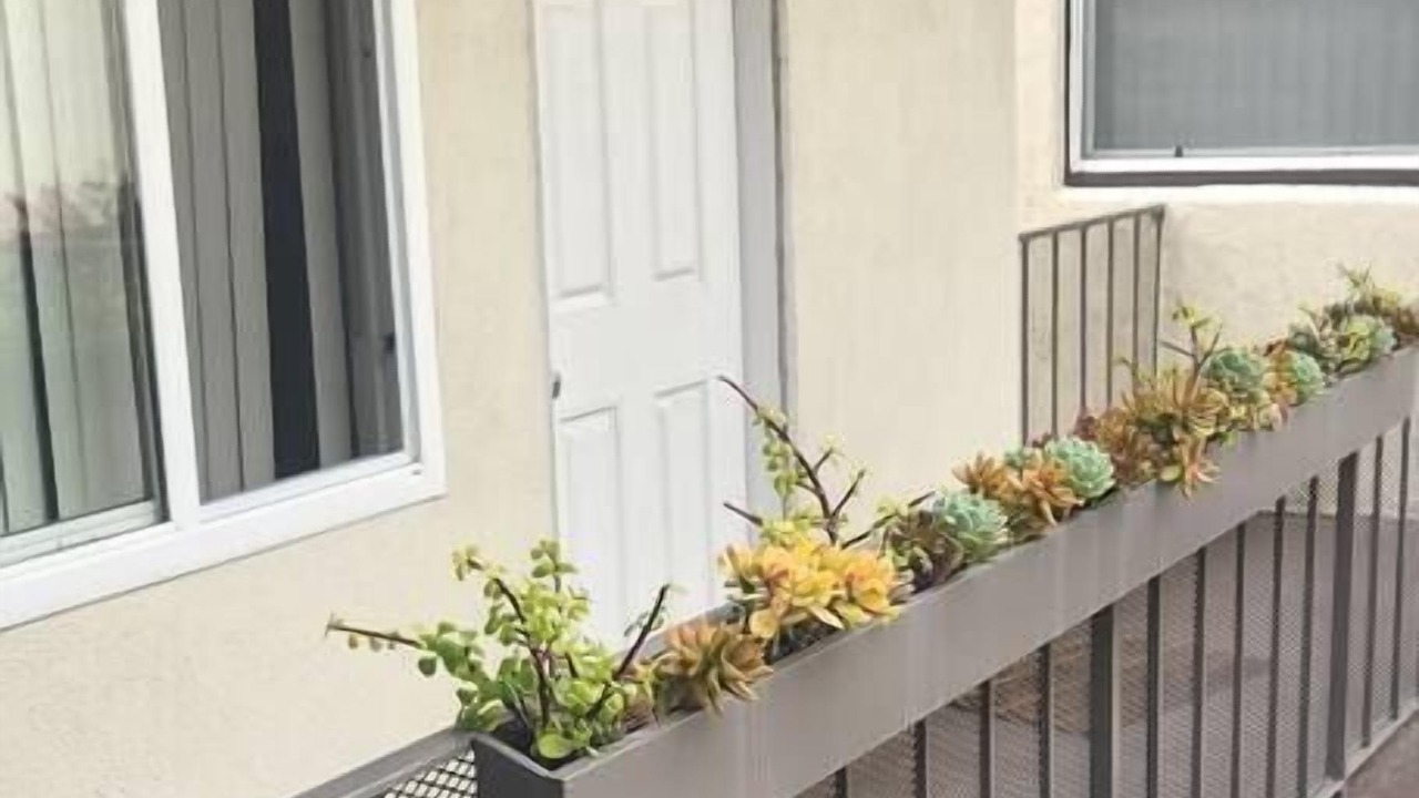 Photo of Patio Balcony in Belmont Shore