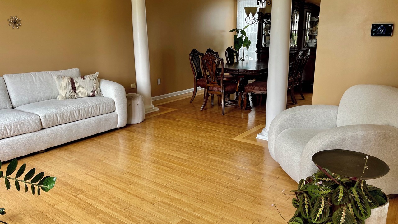 Photo of Livingroom in Webster