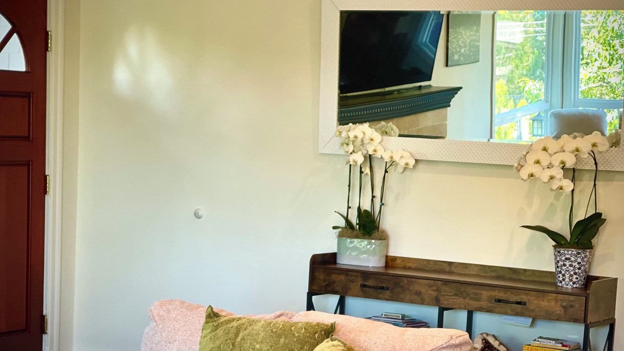 Photo of Livingroom in Mill Valley