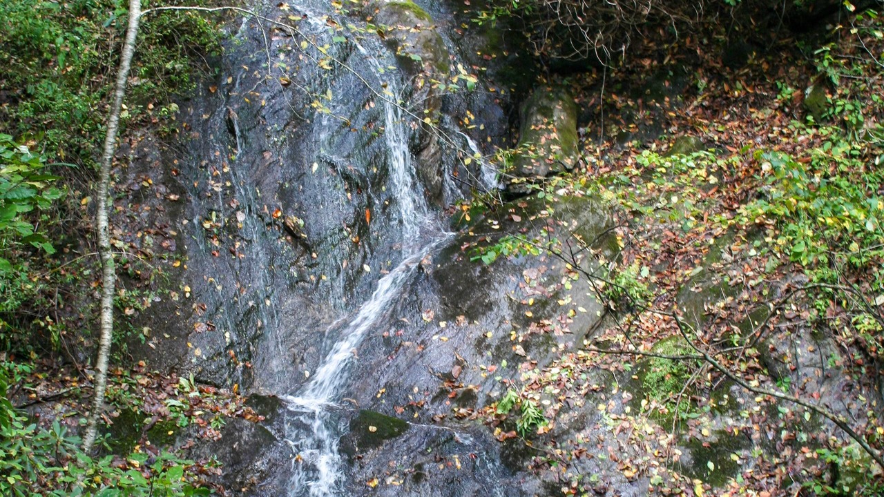 Photo of Others in Dan River