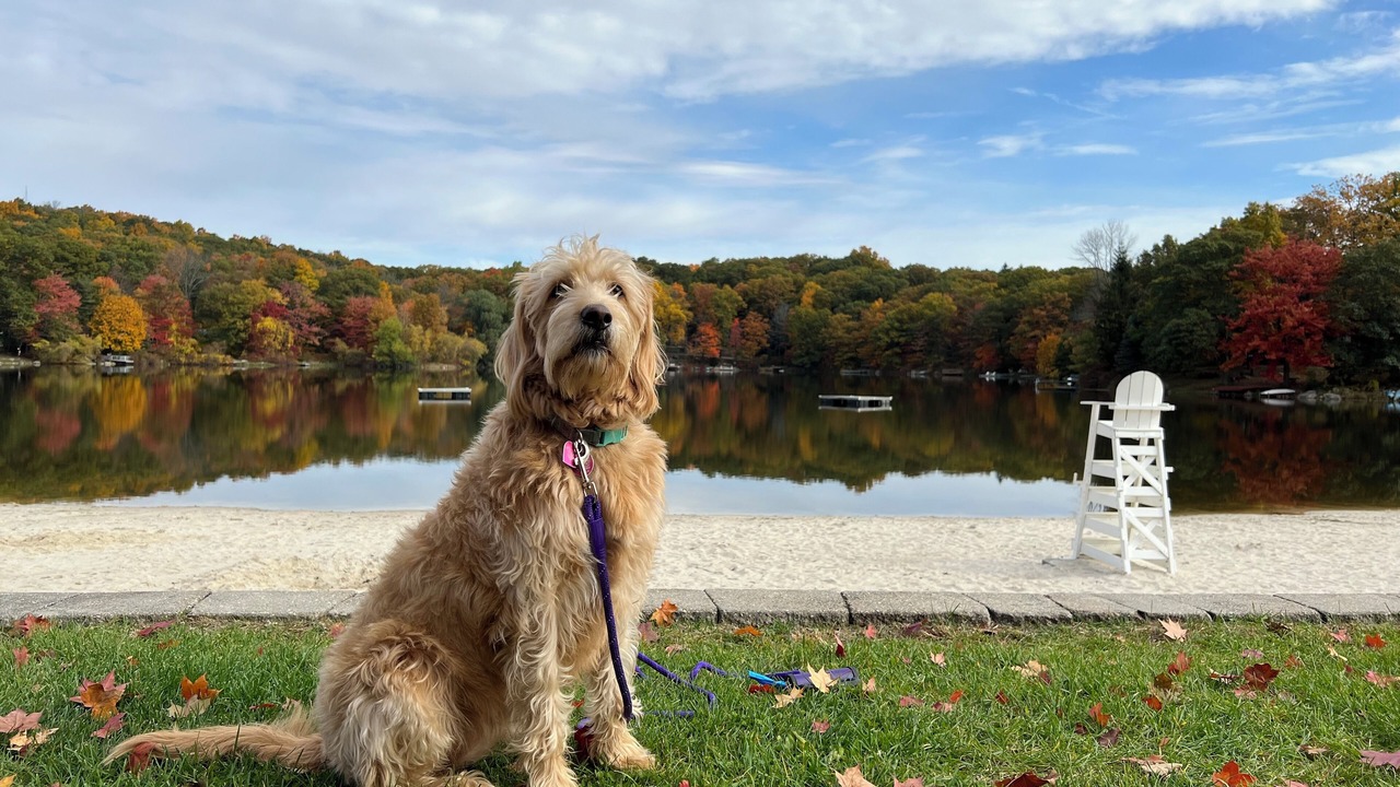 Photo of Outdoor in Highland Lakes