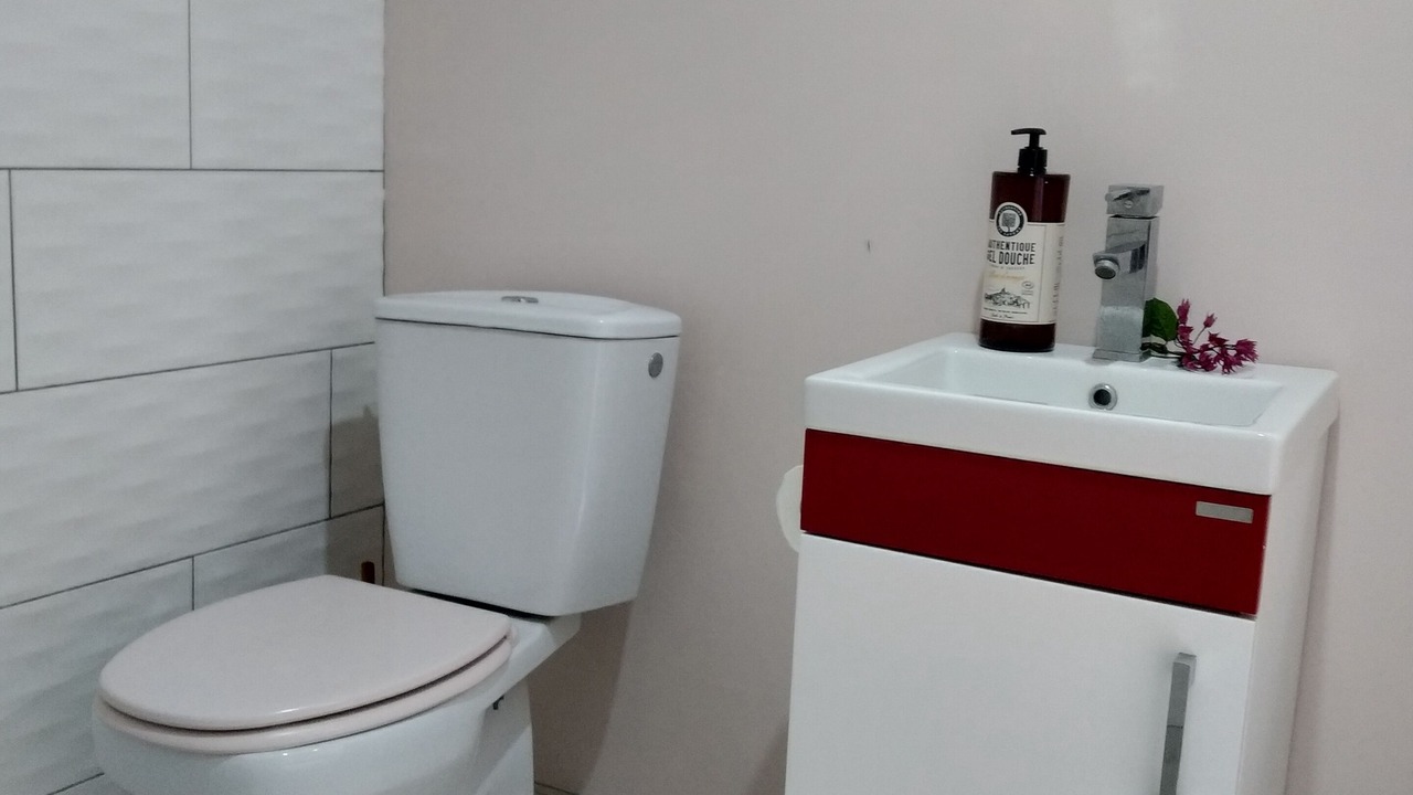 Photo of Bathroom in Faaa