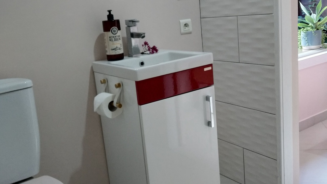 Photo of Bathroom in Faaa