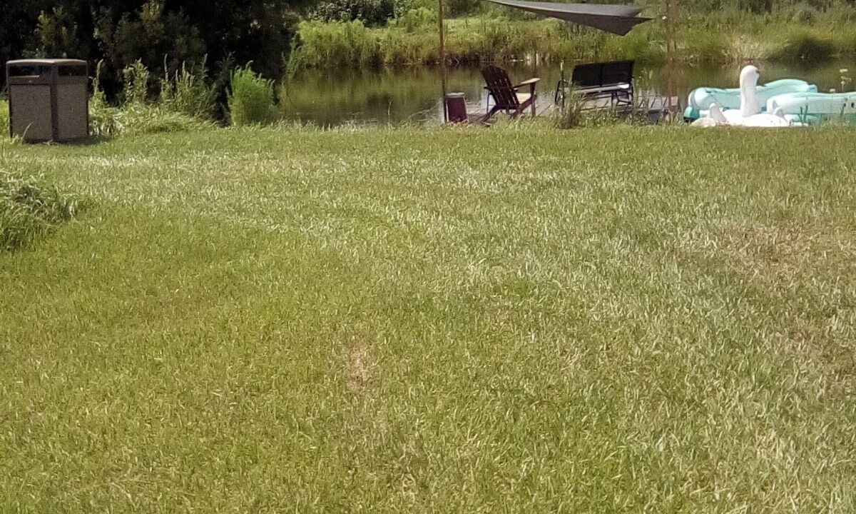 Photo of Outdoor in Florida South Atlantic Coast