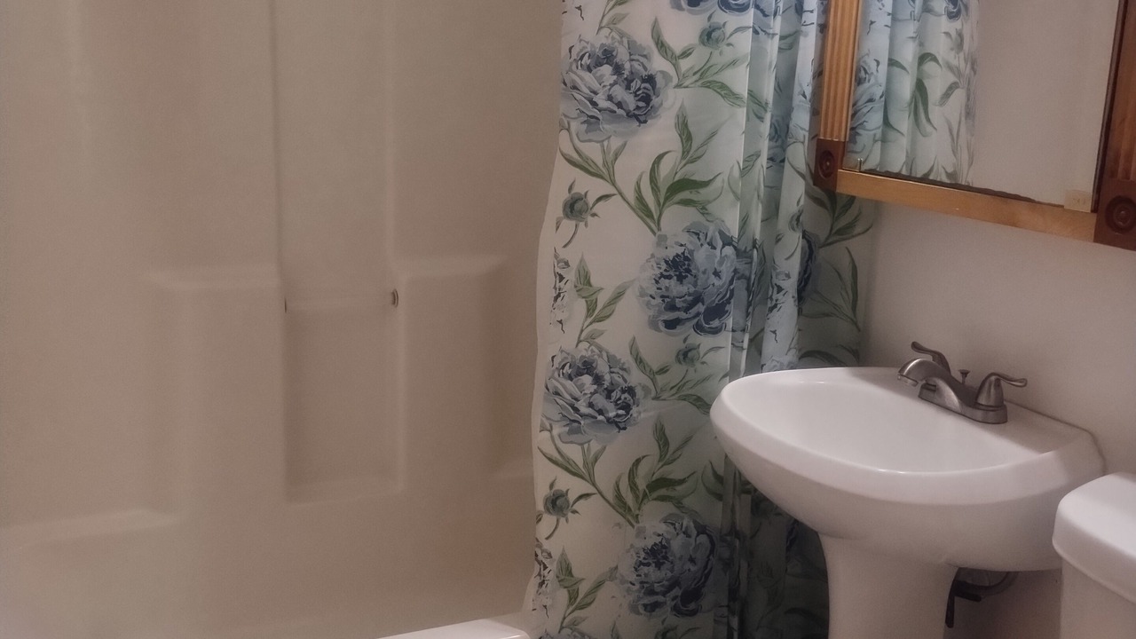 Photo of Bathroom in Oliverea