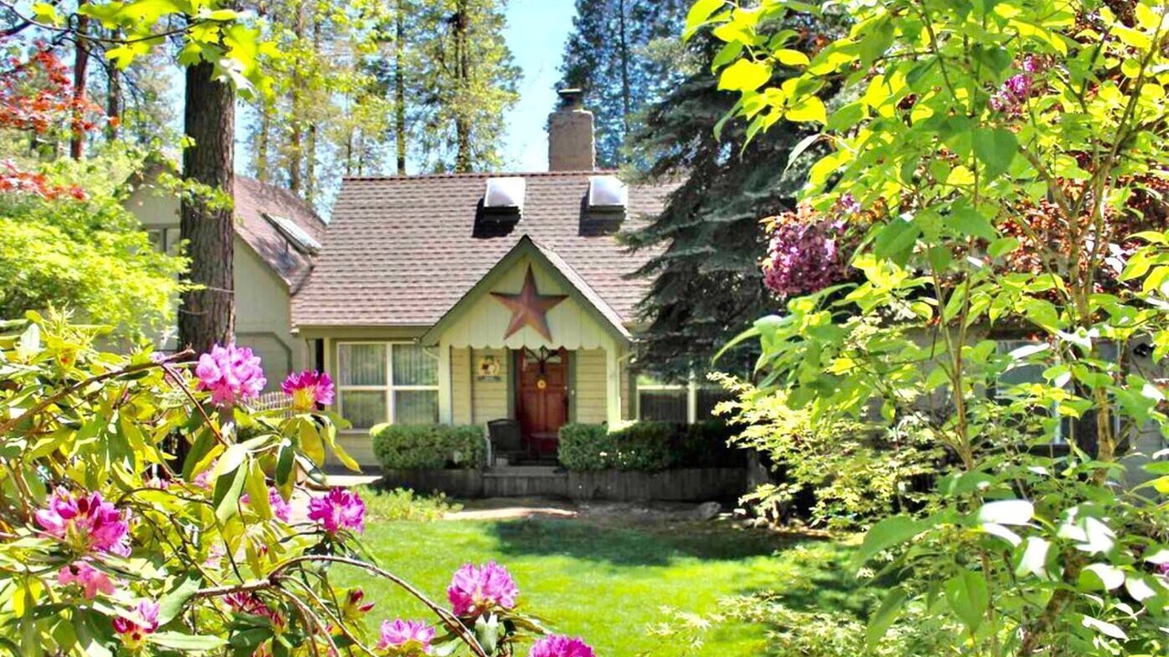 Photo of Outdoor in Twain Harte