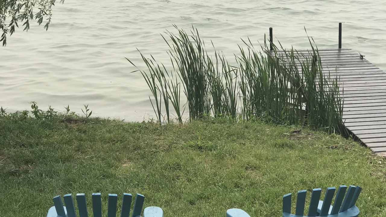 Photo of Others in Cayuga