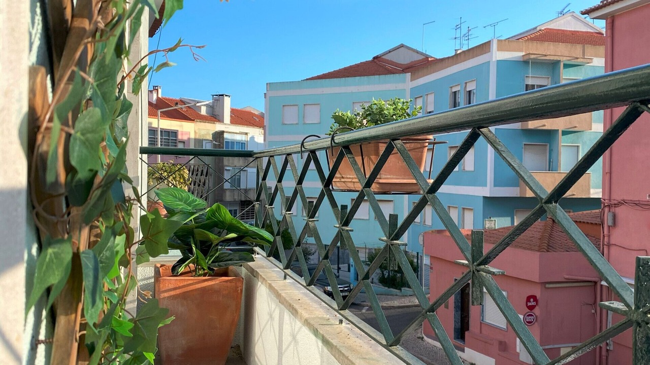 Photo of Others in Amadora