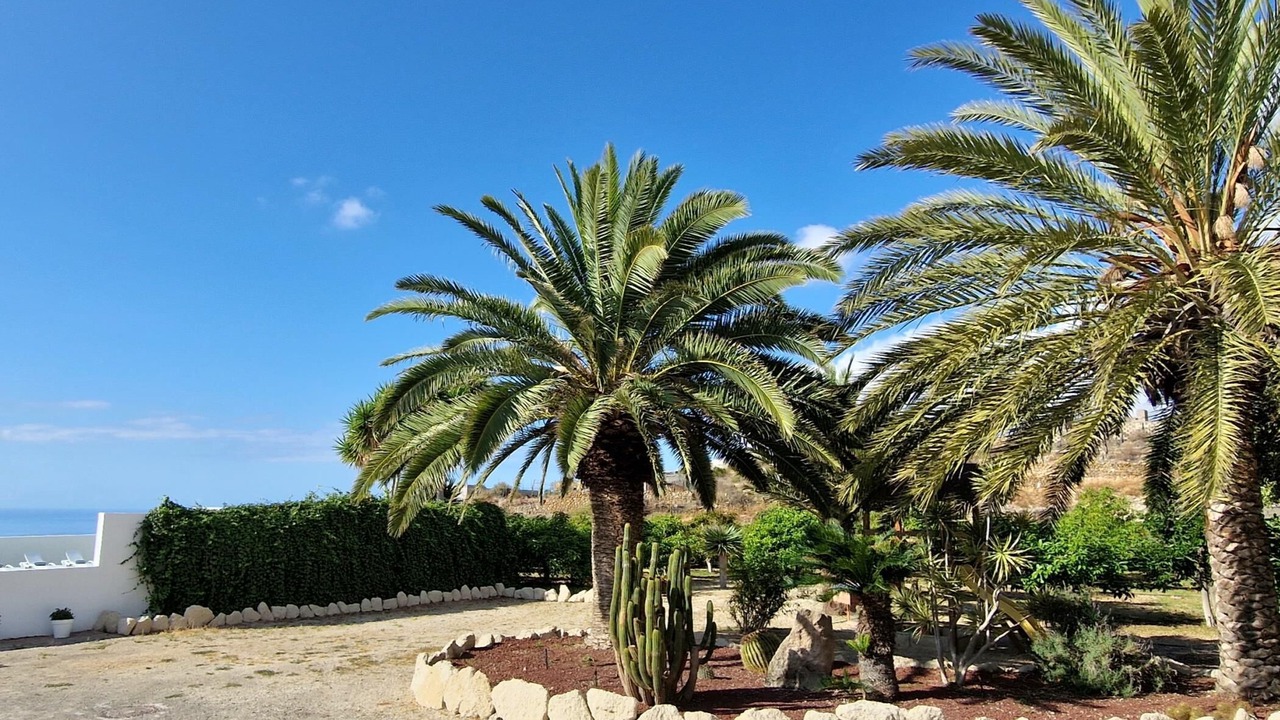 Photo of Outdoor in Guimar
