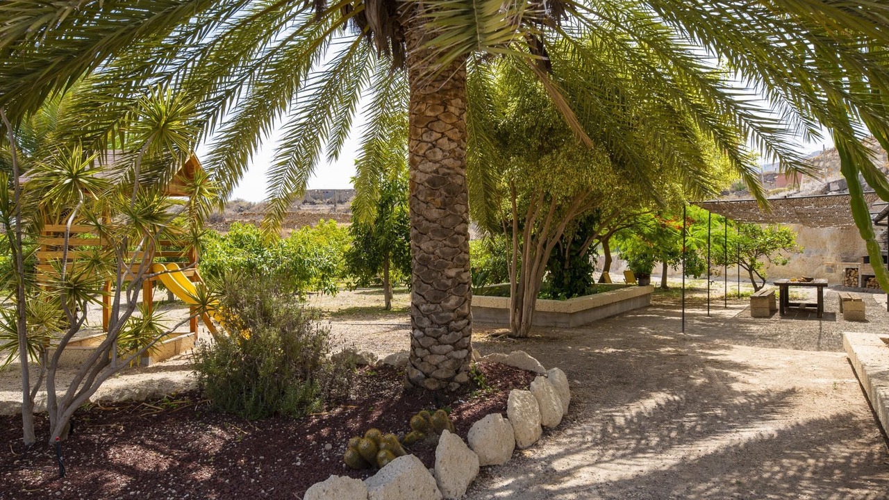 Photo of Outdoor in Guimar