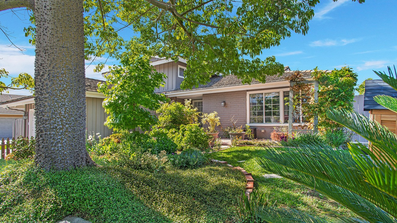 Photo of Outdoor in Laguna Hills