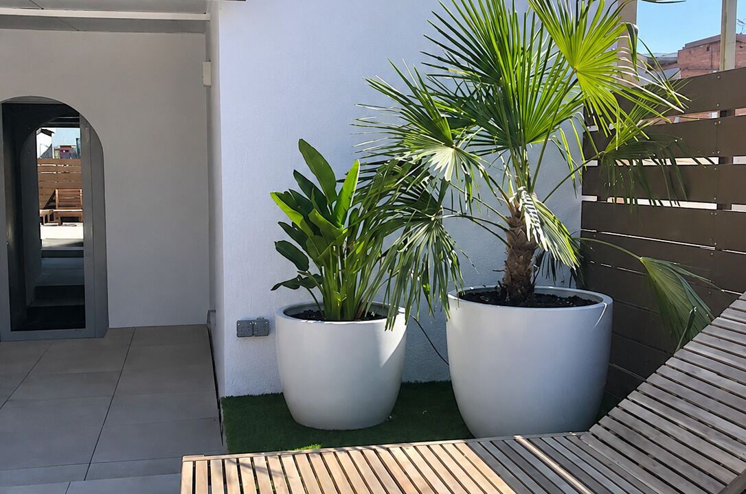 Photo of Patio Balcony in Poblenou
