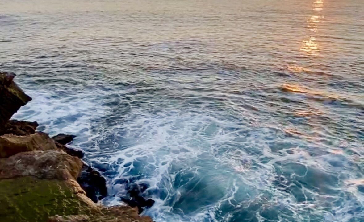 Photo of Others in South Laguna