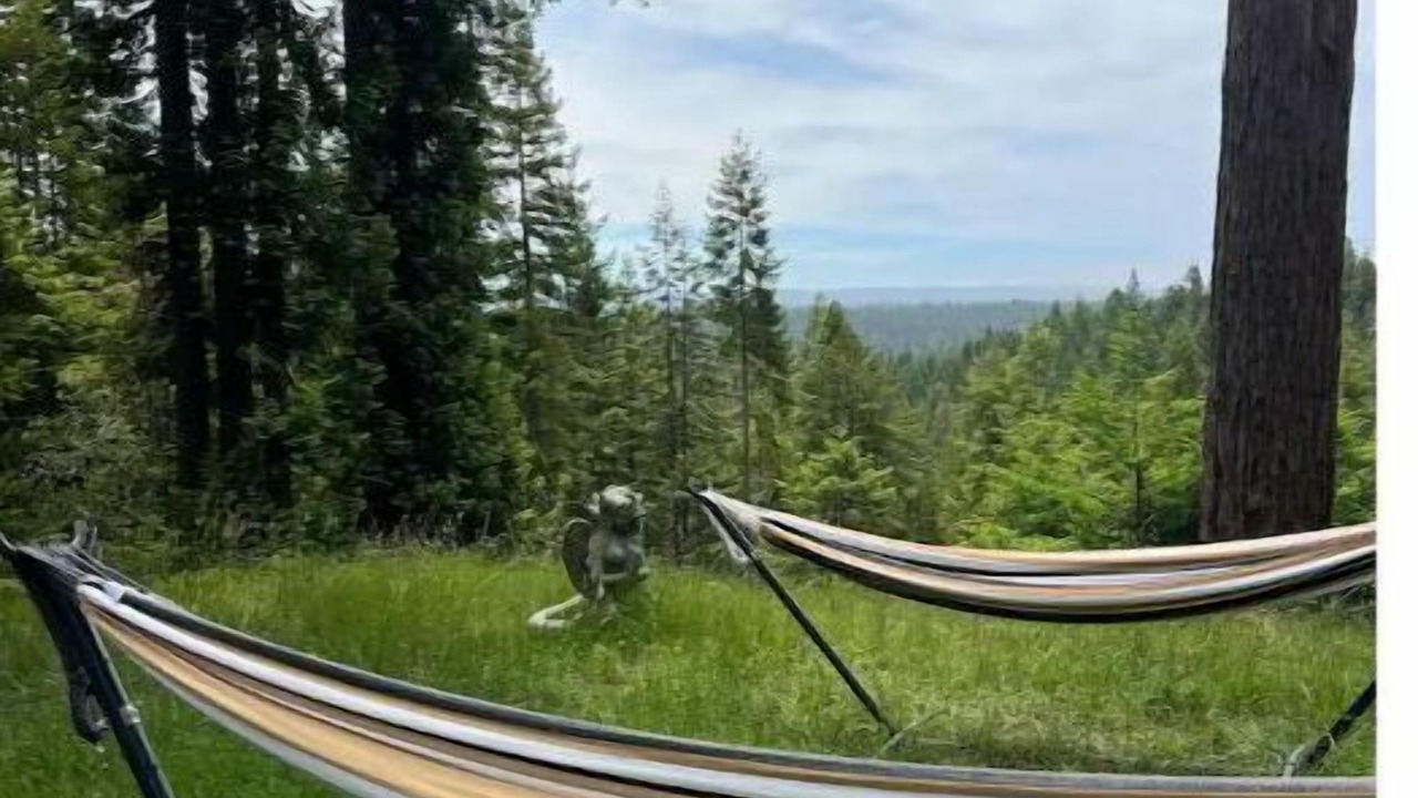 Photo of Outdoor in Little River