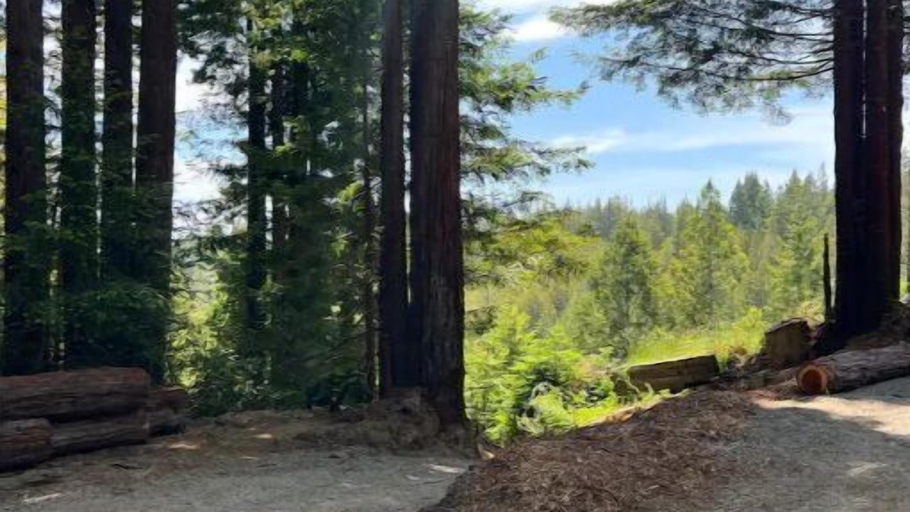 Photo of Outdoor in Little River