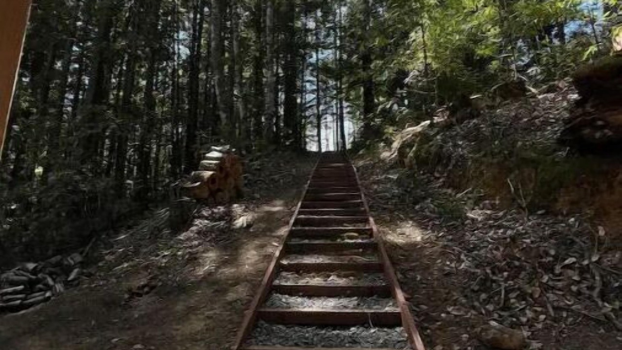 Photo of Outdoor in Little River