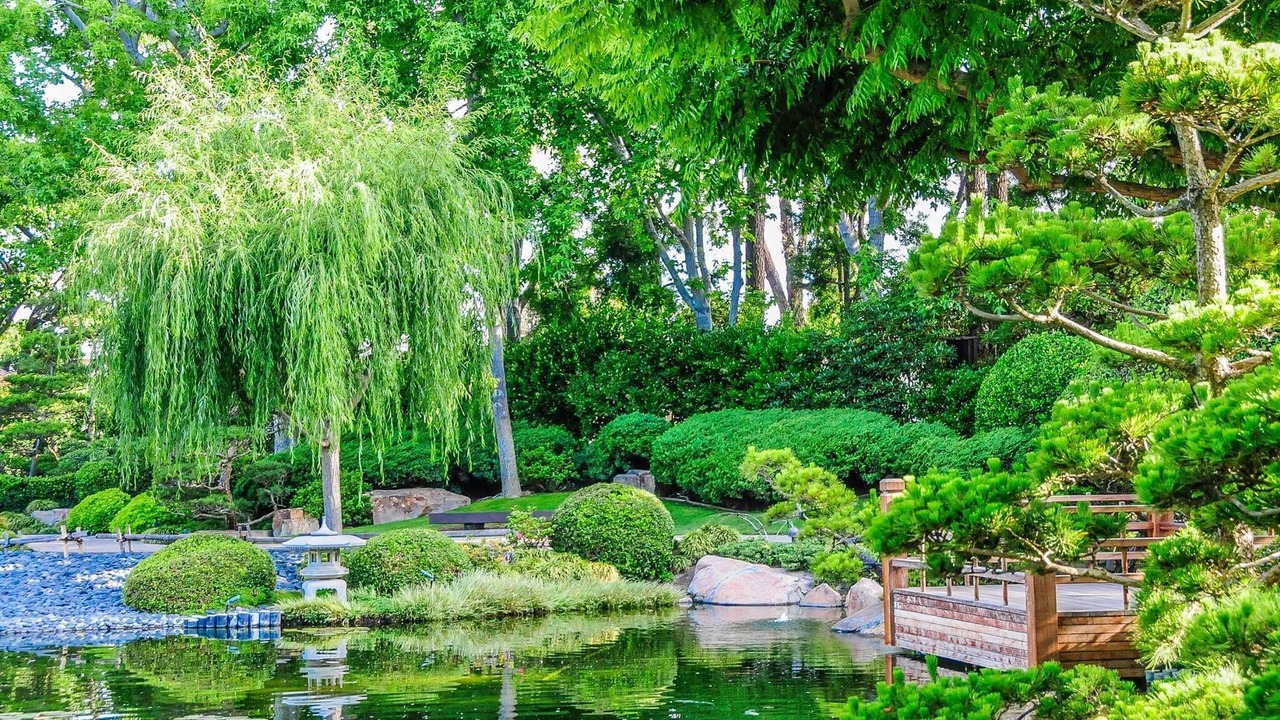 Photo of Outdoor in Bellflower