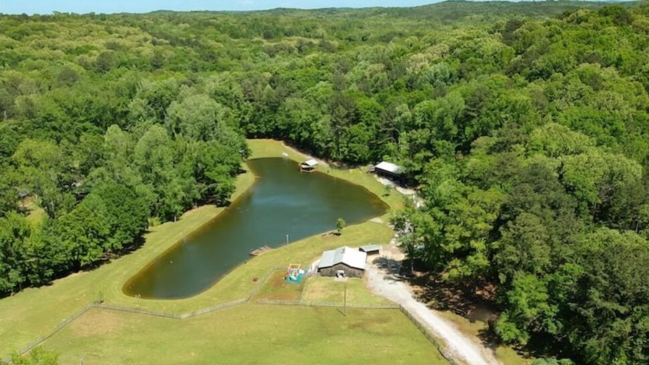 Photo of Outdoor in Duncanville