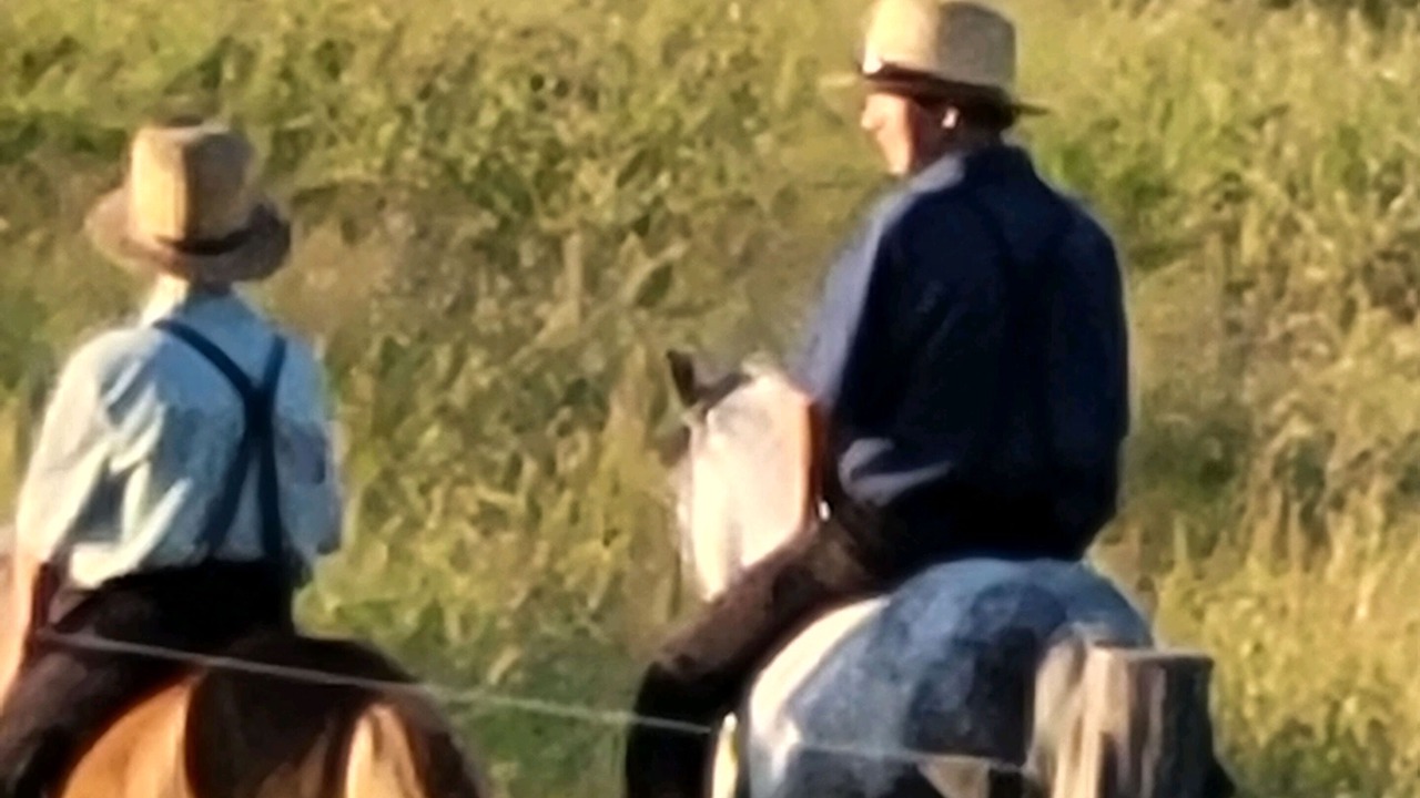Photo of Others in Waterloo