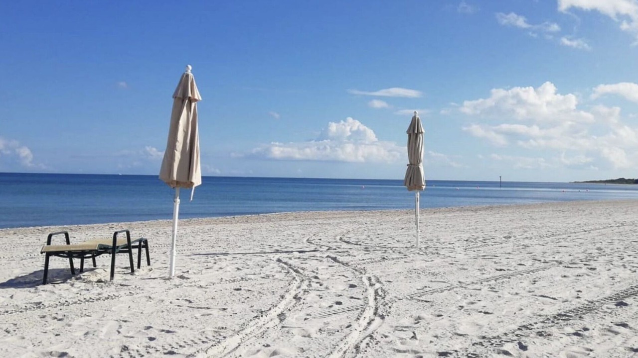 Photo of Others in Key Biscayne