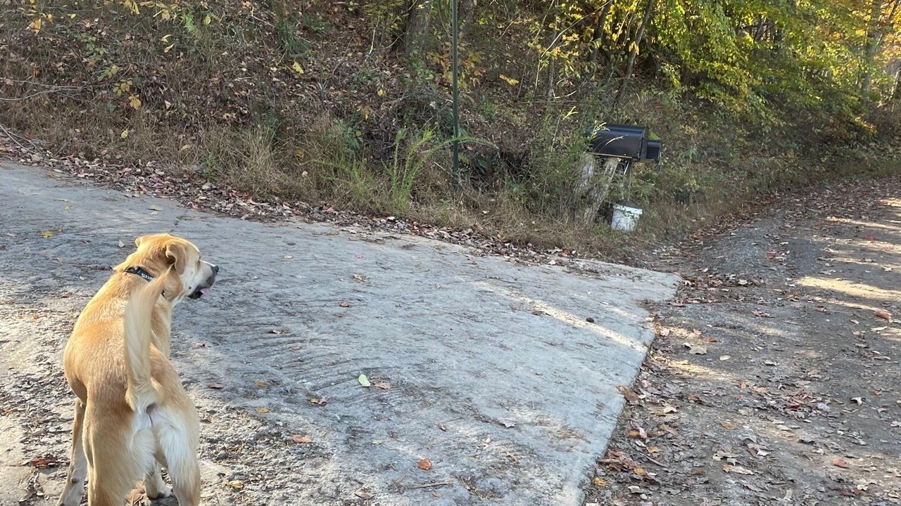 Photo of Outdoor in Unaka