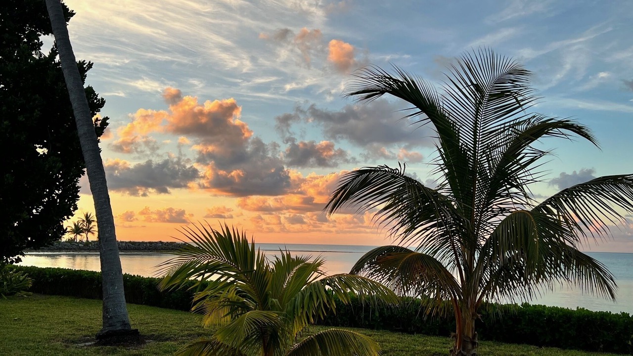 Photo of Outdoor in Freeport