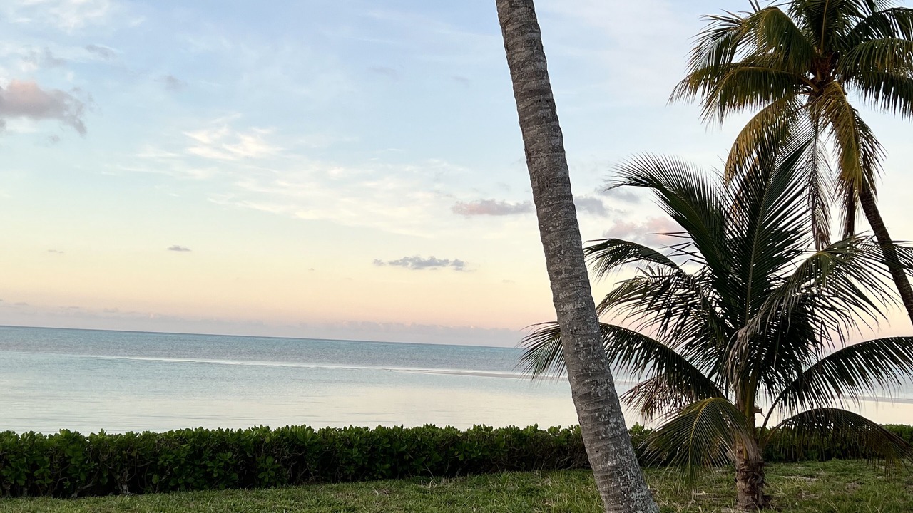 Photo of Outdoor in Freeport