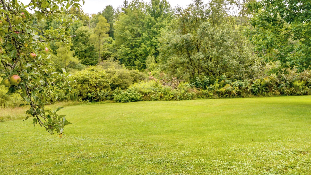 Photo of Outdoor in Jamestown