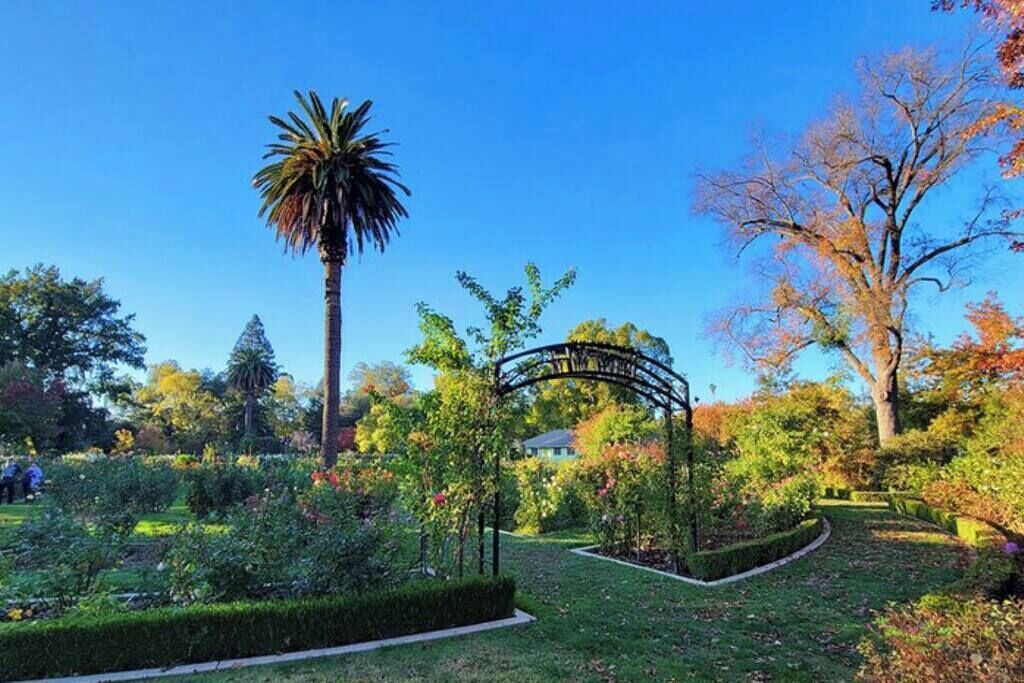 Photo of Others in Central Sacramento