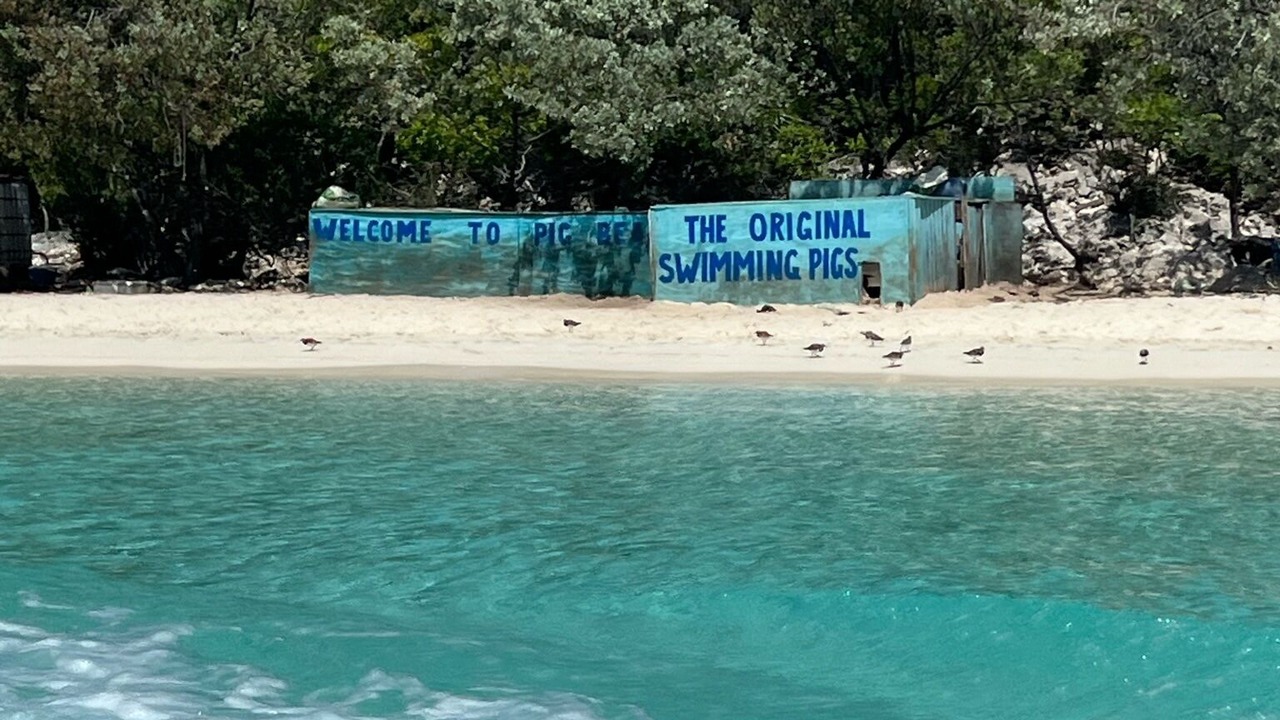 Photo of Others in Paradise Island