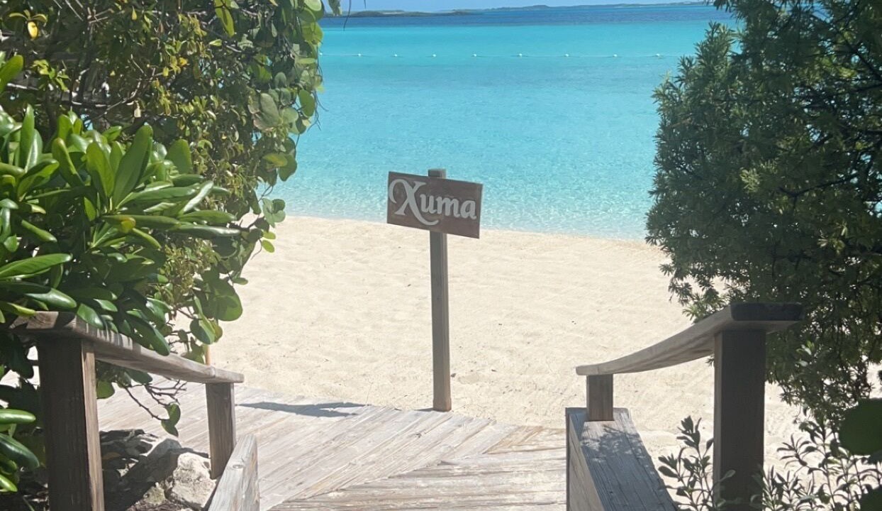 Photo of Others in Paradise Island