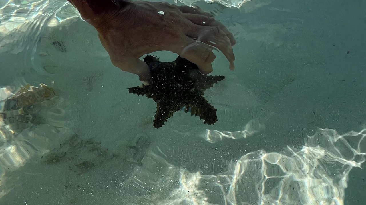 Photo of Outdoor in Treasure Cay