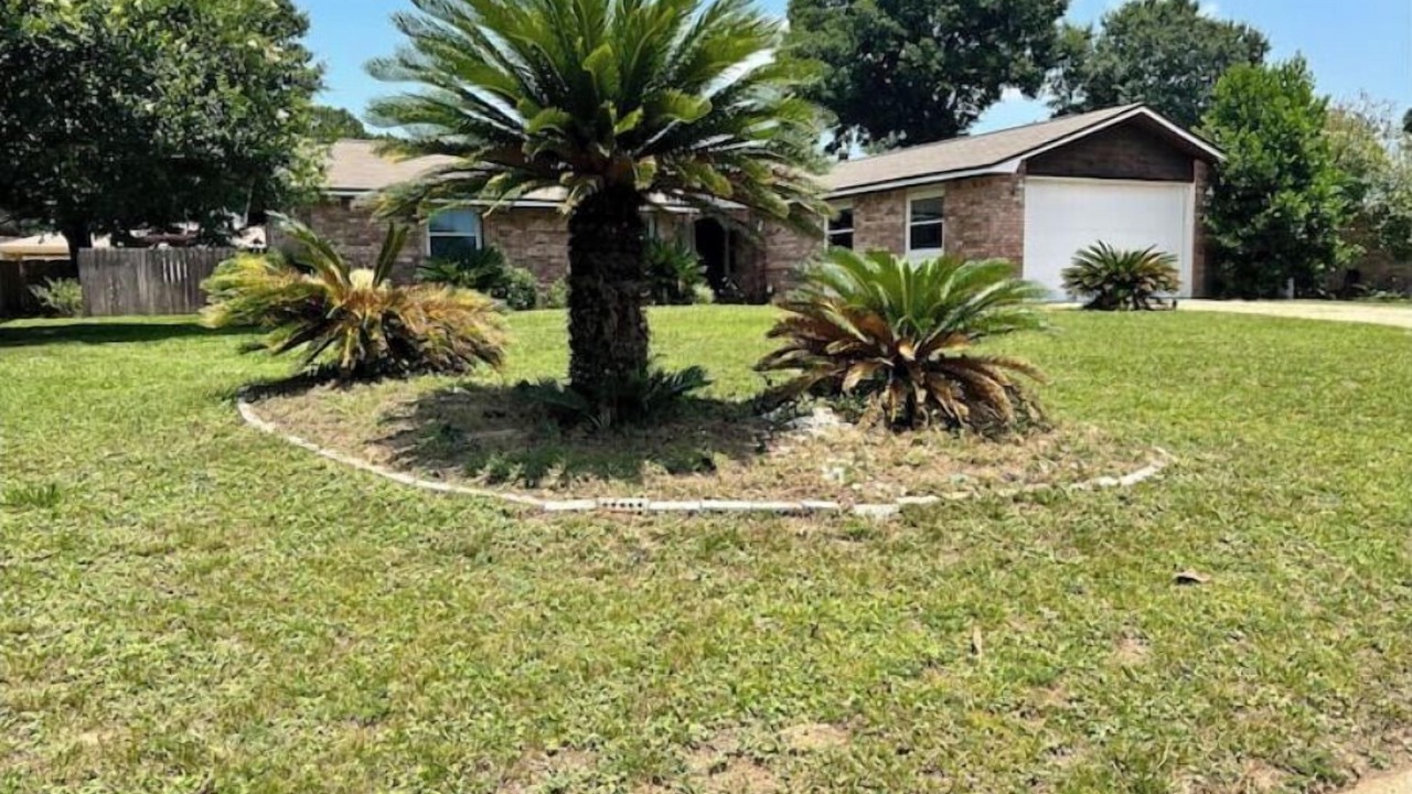 Photo of Outdoor in Northwest Pensacola