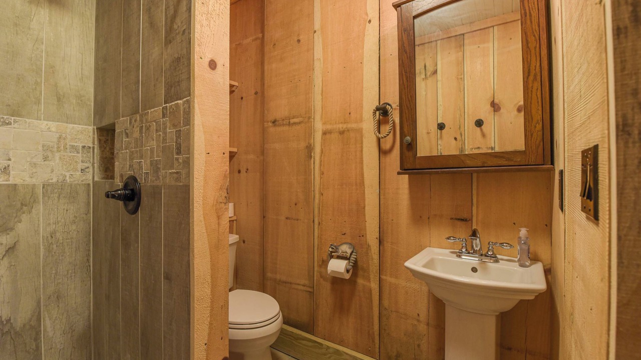 Photo of Bathroom in Saluda