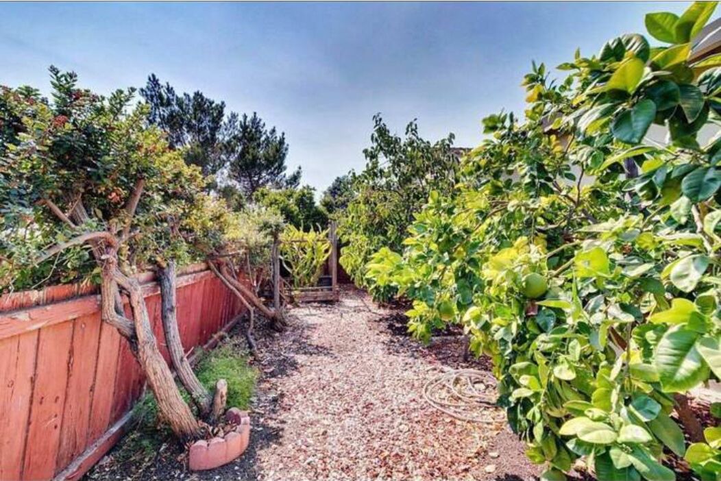 Photo of Outdoor in Edenvale