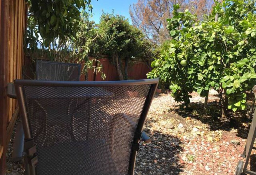Photo of Patio Balcony in Edenvale