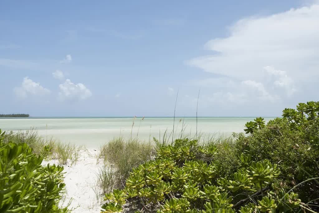 Photo of Others in Schooner Bay